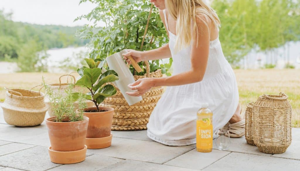 4 trucs pour garder ses plantes en vie 3 Article Maison plantes 02