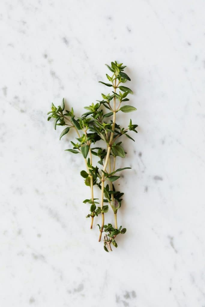 3 herbes et racines à découvrir pour leurs bienfaits 2 OAS Infusion Article 1 bunch of green plant thyme on table 4198139