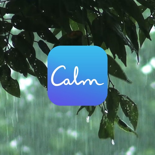 Les meilleures applications pour relaxer 3 Oasis application 04